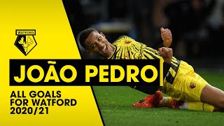 JOÃO PEDRO  ALL GOALS FOR WATFORD 202021 [upl. by Thibaud]