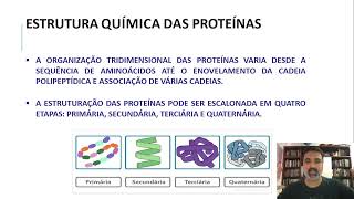 AULA PROTEINAS 2 BIOQUÍMICA [upl. by Zed]