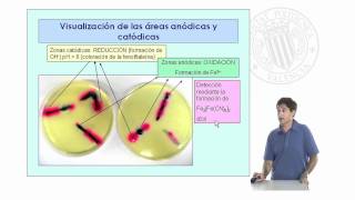 Fundamento electroquímico de la corrosión del acero   UPV [upl. by Alverta483]