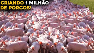 CONHEÇA A MAIOR FAZENDA DE PORCOS DO BRASIL  1 MILHÃO DE SUÍNOS [upl. by Mossolb]