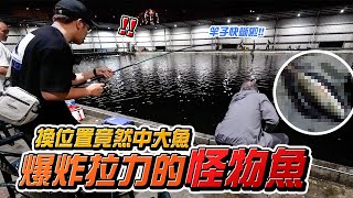 【釣魚系列】江團要怎麼料理比較好 終於超強拉力的7斤大魚拉起來了 海釣場 釣魚 fishing [upl. by Joashus]