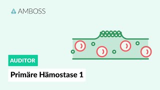 Primäre Hämostase  Teil 1  Physiologie und Erkrankungen  AMBOSS Auditor [upl. by Ettessil]