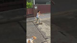 jackrussellterrier jackrussell surfskate  jackrussell amp surfskate doglife [upl. by Garner35]