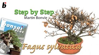 STEP BY STEP FAGUS SYLVATICA [upl. by Ashly215]