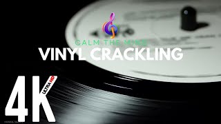 Calm the Mind  Vinyl Crackling Sound Effects [upl. by Fairley250]