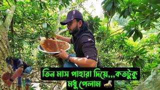 তিন মাস পাহারা দিয়েকতটুকু মধু পেলাম 🐝 [upl. by Llenrag]