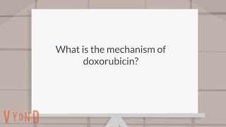 What is the mechanism of doxorubicin [upl. by Kajdan772]