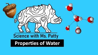 Properties of Water [upl. by Aitan]