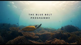 The Blue Belt Programme [upl. by Rim]