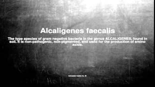 Medical vocabulary What does Alcaligenes faecalis mean [upl. by Nikolai]