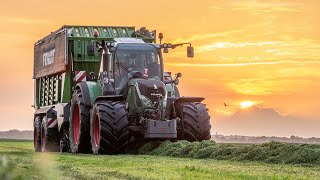 2021  Grass Silage by Sunset  Fendt 724 with NEW Fendt Tigo 65 XRD  Post  Eemnes [upl. by Sams]