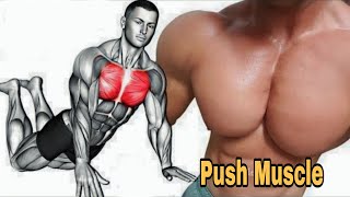 push day  Best exercises for your muscles [upl. by Dill]