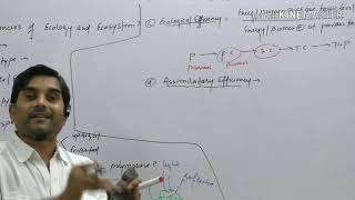 Biotype Ecotype ecophene ecological pyramids Prokaryote Vs Eukaryotic RNA Polymerase [upl. by Jarnagin]