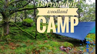 Borrowdale woodland wild camp [upl. by Aynosal794]