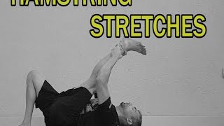 THE COMPLETE STRETCHING VIDEO GUIDE  HAMSTRING STRETCHES [upl. by Alidus301]