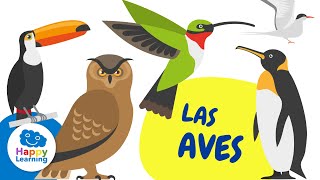 CURIOSIDADES DE LAS AVES  Happy Learning [upl. by Aliac]