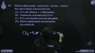 Ribulosediphosphate carboxylase enzyme catalyse the carboxylation reaction between [upl. by Iatnohs]