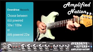 Amplified Nation Overdrive Reverb [upl. by Debi]