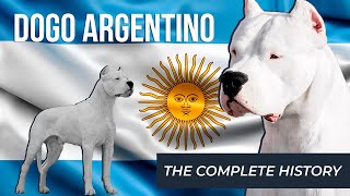 Dogo Argentino  The COMPLETE History [upl. by Aneeres]