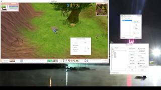 FlyFF  Tutorial  How to set up MacroGamer correctly [upl. by Carbone612]