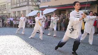 Kulturnacht Tübingen 2024  Wushu [upl. by Ahsiram350]