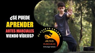 ¿Se puede aprender Artes Marciales en Youtube [upl. by Stearns]