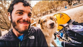 HO TROVATO UN AMICO  Viaggiare in Bici  Messico [upl. by Thornton]