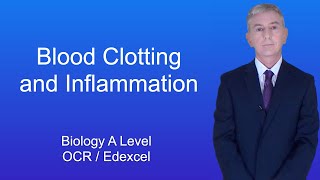 A Level Biology Revision quotBlood Clotting and Inflammationquot [upl. by Kati]