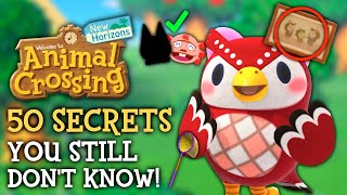 50 SECRETS You STILL Dont Know  Animal Crossing New Horizons [upl. by Mashe]