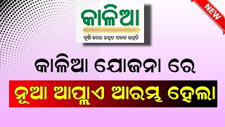 Kalia Yojana New Apply Start  Kalia Yojana New list 2023 Odisha  Kalia Yojana Online Apply [upl. by Nivart]