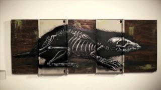 ROA street artist profile film by filmmaker Colin M Day  Warholian [upl. by Ecart675]