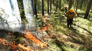 Forscher machen Klimawandel verantwortlich für Hitze in Sibirien  AFP [upl. by Seraphim]