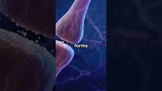 Endocytosis and Exocytosis How Cells Move Materials in and out of the Cell [upl. by Kaufmann]