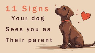 11 Signs Your Dog Sees You as their Parent – Canine Behavior Explained [upl. by Nylrem145]