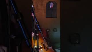 Watch live jazz performance Fresia Sings and Seth Darby plays doublebass jazzsinger jazz live [upl. by Hamlen628]