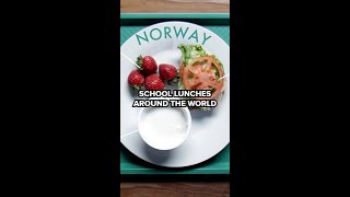 School Lunches Around The World Part 1 shorts [upl. by Oigolue]