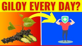 Eat THIS Every Day for a HEALTHIER Body And Immunity Instantly  Health Benefits of Giloy [upl. by Todhunter]