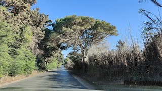 Mostaganem Sayada amp Mazagran Cheikh Maazouz Bouadjadj El Meknassia amp El Ghaouthiya un pur régal [upl. by Aryaz]