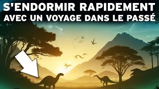 4 heures de Faits Préhistoriques pour Sendormir Rapidement  Un INCROYABLE voyage dans le Passé [upl. by Suchta]