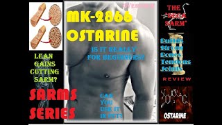 Ostarine mk2866 SARM Review  Why Beginners Love This SARM  How my lab rat responded [upl. by Lladnew467]