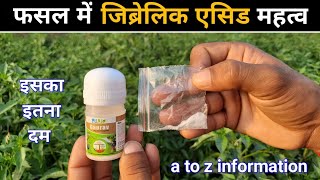 Gibberellic acid  जिब्रेलिक एसिड क्या काम करता है पूरी जानकारी [upl. by Sallee692]