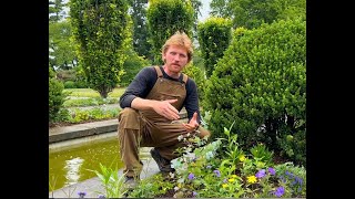 Untermyer Gardens Conservancy Summer Annuals With Drew Schuyler Introduced by Timothy Tilghman [upl. by Wyck521]