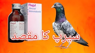 Flagyl Syrup Ka Faiyda [upl. by Chariot]