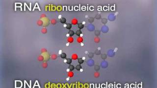 The DNA Obsession 15  Cracking The Code episode 3 [upl. by Suirad605]