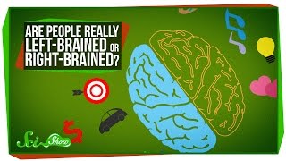 Are People Really LeftBrained or RightBrained [upl. by Idell]