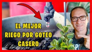 EL MEJOR sistema de RIEGO POR GOTEO CASERO para todas las plantas  Gio de la Rosa [upl. by Buck]