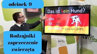 Niemiecki w parę minut 9  rodzajniki zaprzeczenie i zwierzęta [upl. by Noslen]