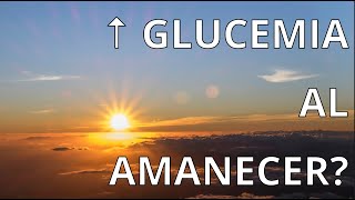 POR QUE TIENES LA GLUCEMIA ALTA POR LA MAÑANA EFECTO AMANECER [upl. by Ainerbas]