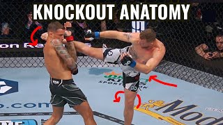 Head Kick Perfection Justin Gaethje vs Dustin Poirier at UFC 291 [upl. by Yelwah861]