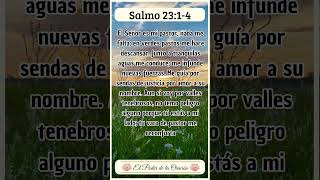 Mensaje Bíblico de hoy Salmo 23 14 Fe VersiculoDeLaBiblia TextosBiblicos EstudioBiblico [upl. by Masterson971]